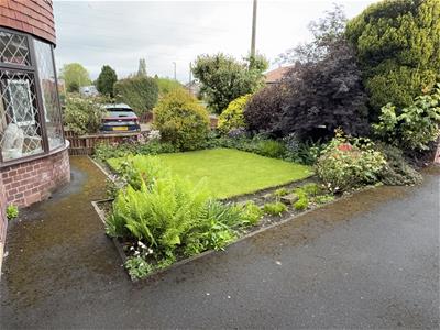 Picture 16